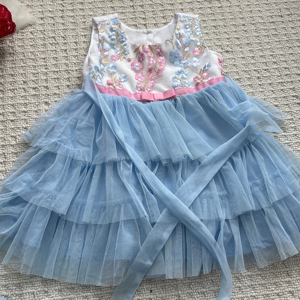 Blue and White Floral Embroidered Dress